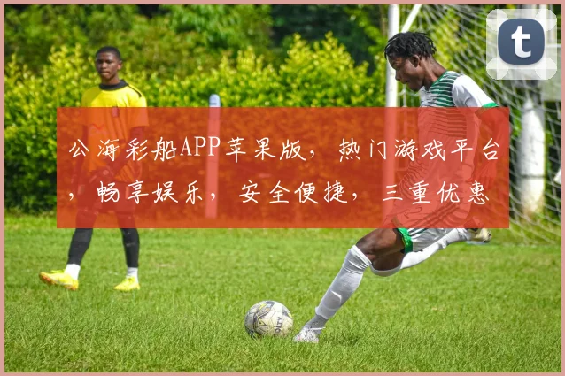 公海彩船APP苹果版，热门游戏平台，畅享娱乐，安全便捷，三重优惠等你来拿，尽享快乐时光