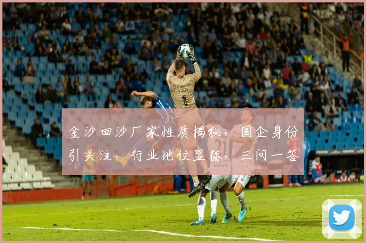 金沙回沙厂家性质揭秘，国企身份引关注，行业地位显赫，三问一答揭晓谜底