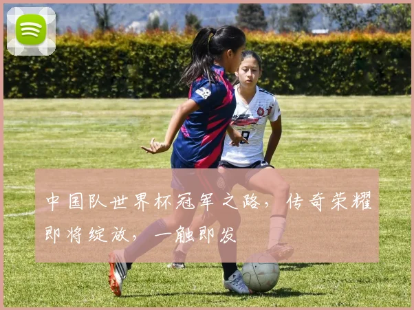 中国队世界杯冠军之路，传奇荣耀即将绽放，一触即发