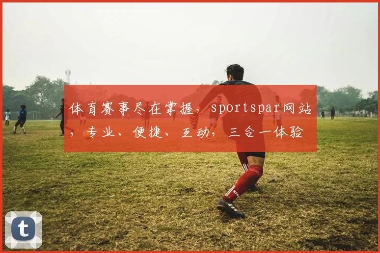体育赛事尽在掌握，sportspar网站，专业、便捷、互动，三合一体验，不容错过